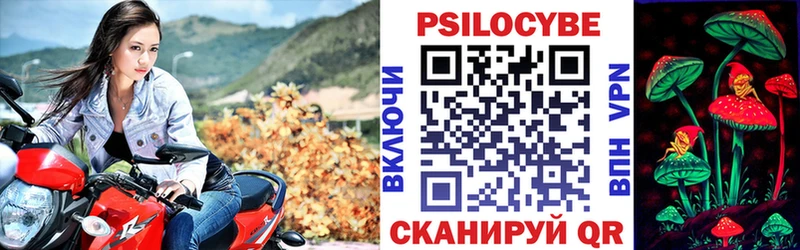 Галлюциногенные грибы мицелий  хочу наркоту  Кирсанов 